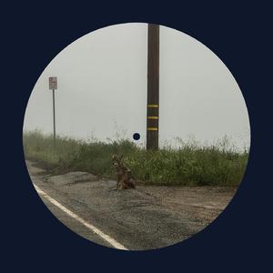 抹茶软件看女生全身隐私
