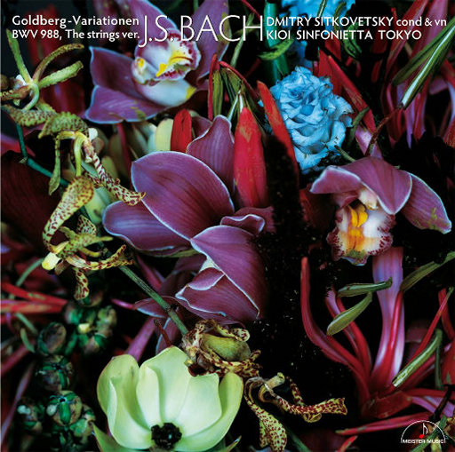 抹茶软件看女生全身隐私
